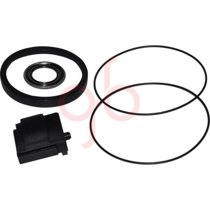 Reparo das Vedações da Partida MWM - GB10579