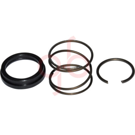 Jogo de Trava do Impulsor do Induzido da Partida O-500/MWM (com Mola) - GB13574