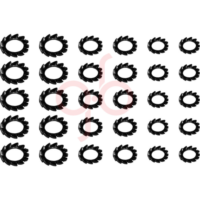 Kit de Arruelas dentadas para Massa - GB31001 - Imagem 1